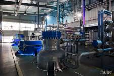 Olivier POGGIANTI - OLIVIER POGGIANTI